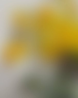 Soyut bulanık arkaplan renkleri karışık 