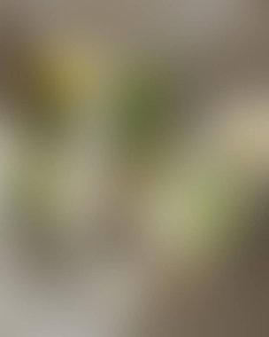 Soyut bulanık arkaplan renkleri karışık 