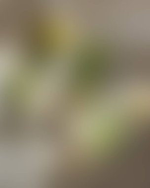 Soyut bulanık arkaplan renkleri karışık 