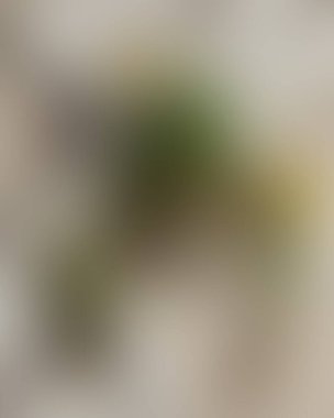 Soyut bulanık arkaplan renkleri karışık 