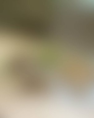 Soyut bulanık arkaplan renkleri karışık 