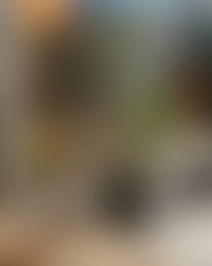 Soyut bulanık arkaplan renkleri karışık 