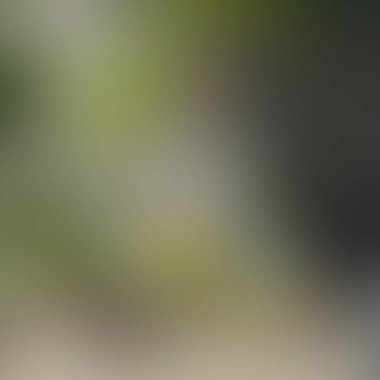 Soyut bulanık arkaplan renkleri karışık 