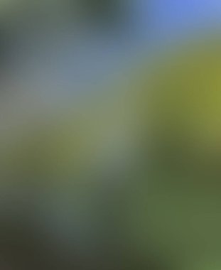 Soyut bulanık arkaplan renkleri karışık 