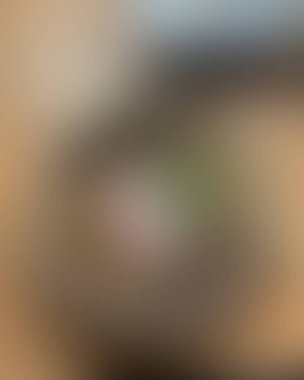 Soyut bulanık arkaplan renkleri karışık 