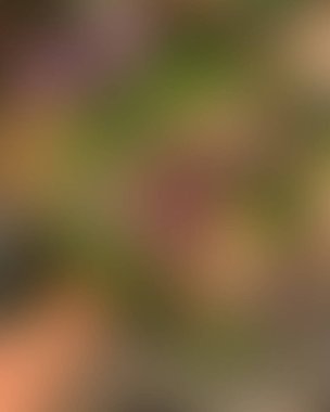 Soyut bulanık arkaplan renkleri karışık 