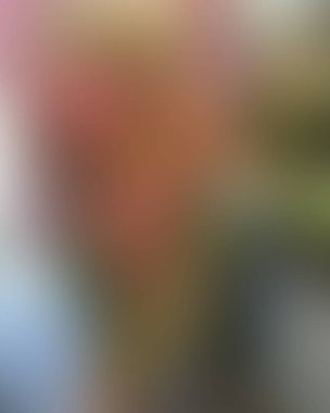 Soyut bulanık arkaplan renkleri karışık 