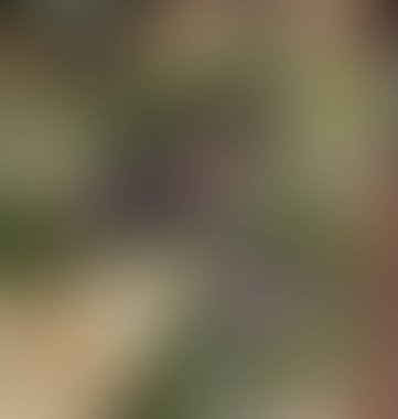 Soyut bulanık arkaplan renkleri karışık 