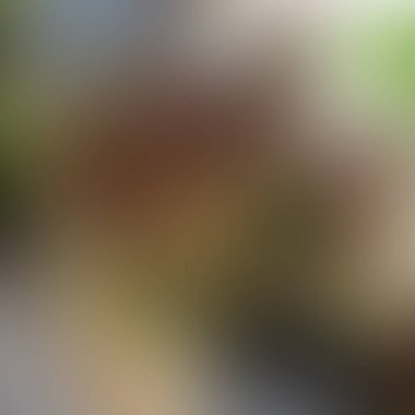 Soyut bulanık arkaplan renkleri karışık 