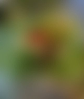 Soyut bulanık arkaplan renkleri karışık 