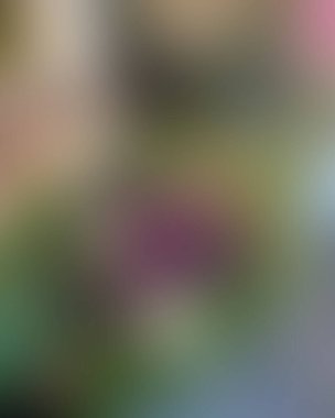 Soyut bulanık arkaplan renkleri karışık 