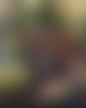 Soyut bulanık arkaplan renkleri karışık 