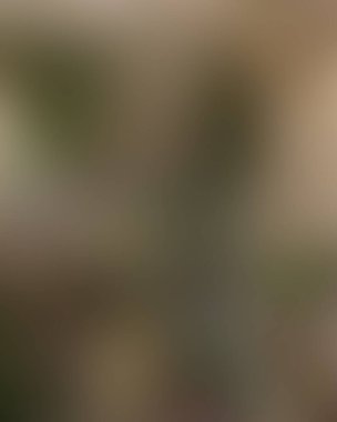 Soyut bulanık arkaplan renkleri karışık 