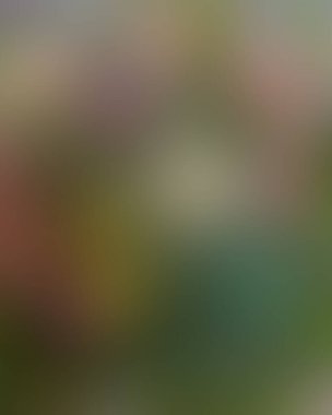 Soyut bulanık arkaplan renkleri karışık 