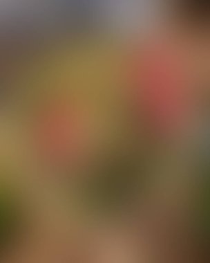 Soyut bulanık arkaplan renkleri karışık 