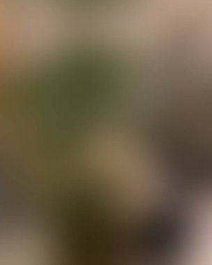 Soyut bulanık arkaplan renkleri karışık 