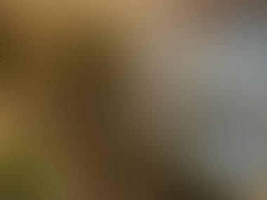 Soyut bulanık arkaplan renkleri karışık 