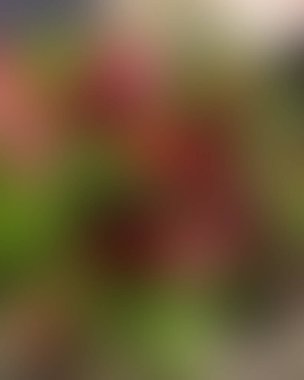 Soyut bulanık arkaplan renkleri karışık 