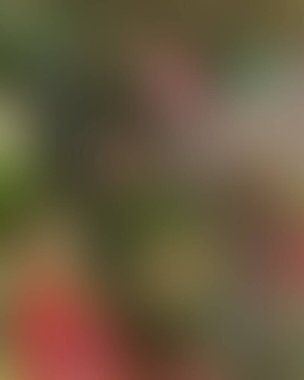 Soyut bulanık arkaplan renkleri karışık 