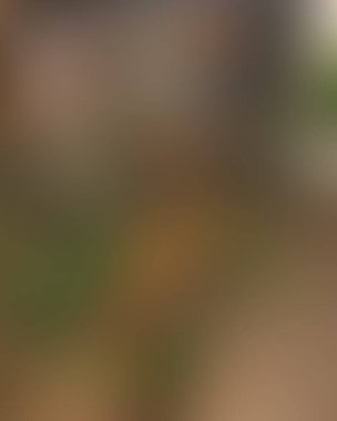 Soyut bulanık arkaplan renkleri karışık 