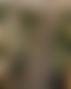 Soyut bulanık arkaplan renkleri karışık 