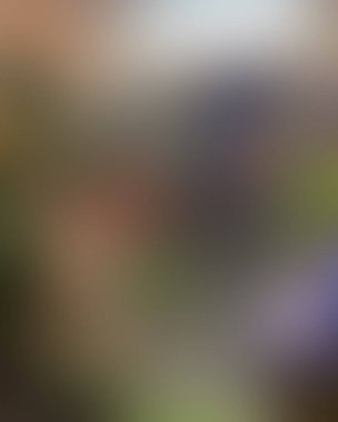 Soyut bulanık arkaplan renkleri karışık 