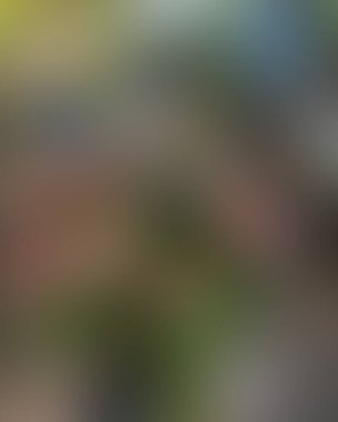 Soyut bulanık arkaplan renkleri karışık 