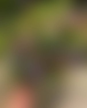 Soyut bulanık arkaplan renkleri karışık 