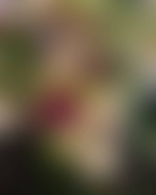 Soyut bulanık arkaplan renkleri karışık 