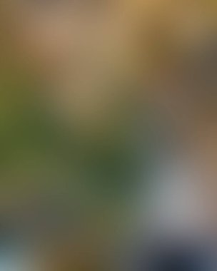 Soyut bulanık arkaplan renkleri karışık 