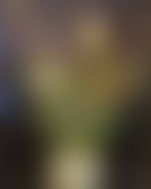 Soyut bulanık arkaplan renkleri karışık 