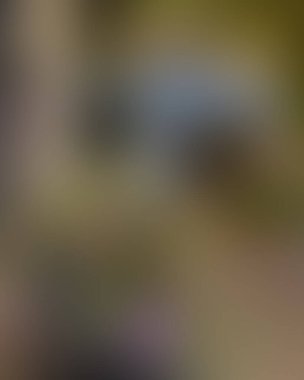 Soyut bulanık arkaplan renkleri karışık 