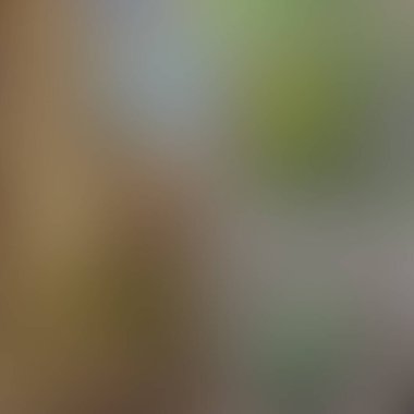 Soyut bulanık arkaplan renkleri karışık 