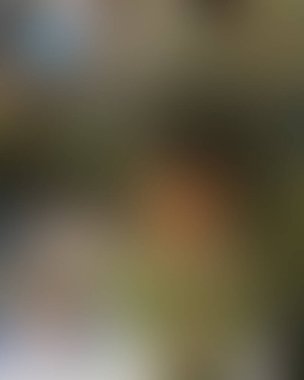 Soyut bulanık arkaplan renkleri karışık 