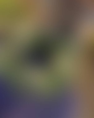 Soyut bulanık arkaplan renkleri karışık 