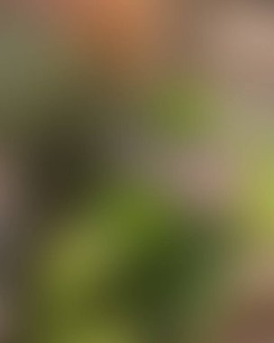 Soyut bulanık arkaplan renkleri karışık 