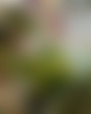 Soyut bulanık arkaplan renkleri karışık 