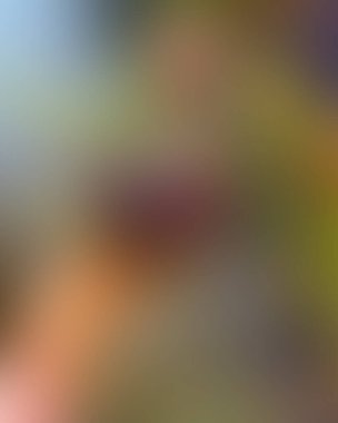 Soyut bulanık arkaplan renkleri karışık 