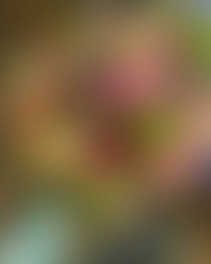 Soyut bulanık arkaplan renkleri karışık 