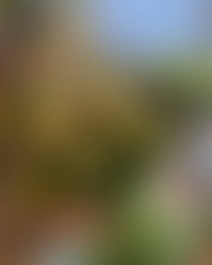 Soyut bulanık arkaplan renkleri karışık 