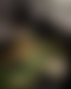 Soyut bulanık arkaplan renkleri karışık 