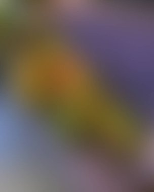 Soyut bulanık arkaplan renkleri karışık 