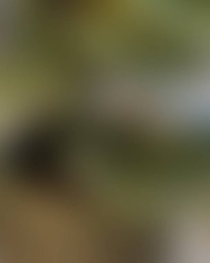 Soyut bulanık arkaplan renkleri karışık 