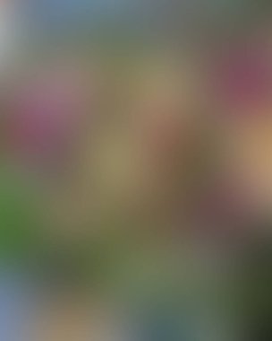 Soyut bulanık arkaplan renkleri karışık 