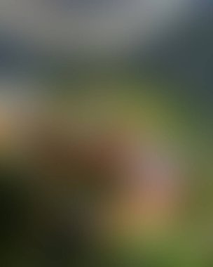 Soyut bulanık arkaplan renkleri karışık 