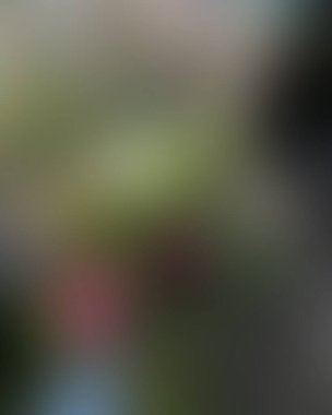 Soyut bulanık arkaplan renkleri karışık 