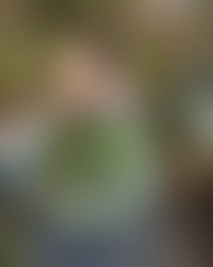 Soyut bulanık arkaplan renkleri karışık 