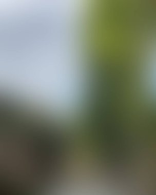 Soyut bulanık arkaplan renkleri karışık 