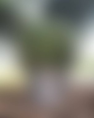 Soyut bulanık arkaplan renkleri karışık 