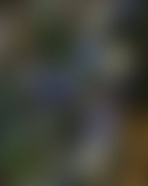 Soyut bulanık arkaplan renkleri karışık 